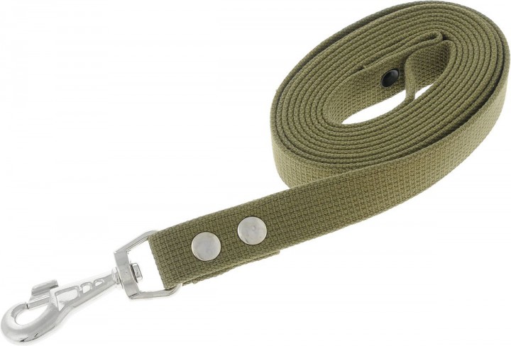 Поводок брезент, 25мм/2м